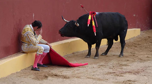 Munera ante el toro